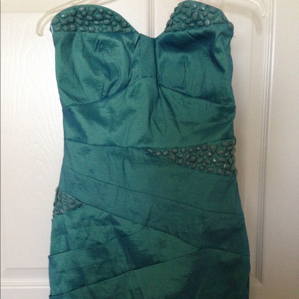 Formal Fitted Dress
